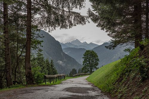 Ochtendwandeling op een verlaten bergweg