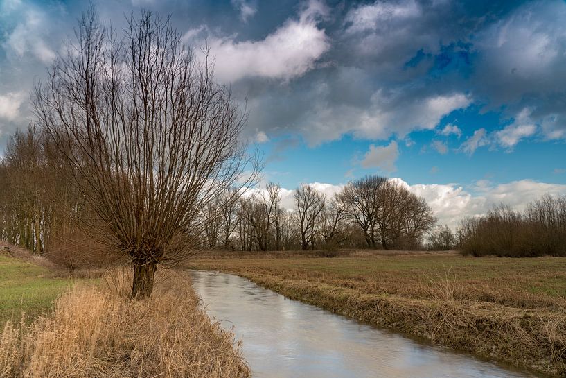Uiterwaarden bij de Waal par Patrick de Vleeschauwer