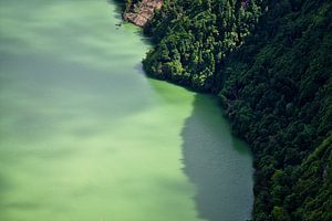 Groene Lagune
