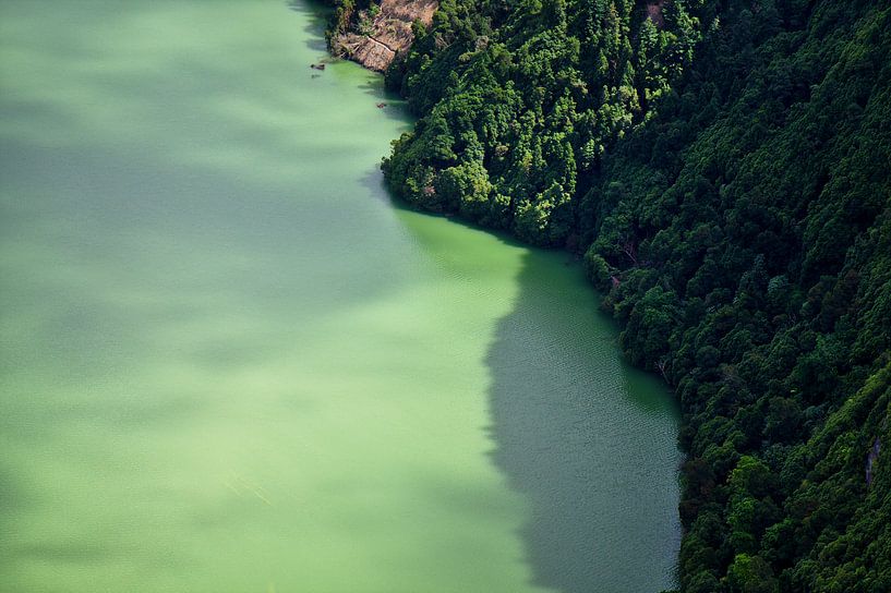 Groene Lagune van Jan Brons