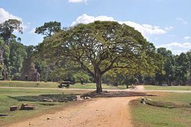 Angkor Wat van Raymond Engelen