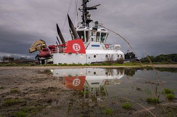 Tug Ginger with reflection in rain puddle by Jan Georg Meijer