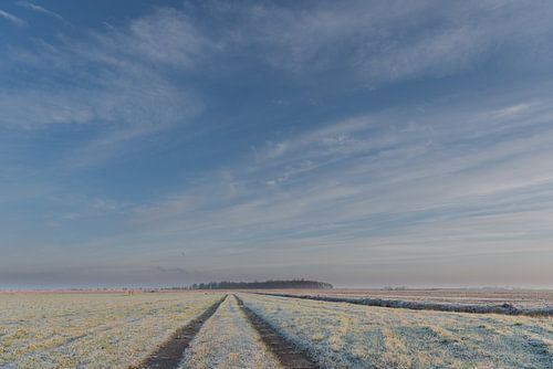 Winter in de Alblasserwaard:  een wijde blik over bevroren polderlandschap