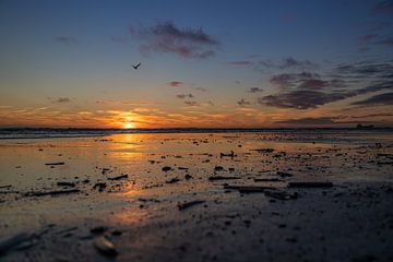 Reflet sur la plage au coucher du soleil