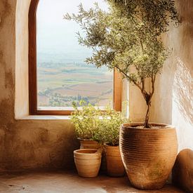 Olive tree by arched window in warm Mediterranean light von But First Framing