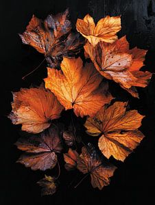 Herbstblätter