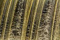 Waterval in Nordhorn van Tonny Janssen thumbnail
