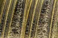 Waterval in Nordhorn