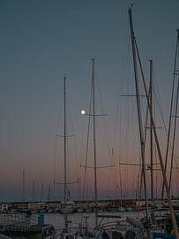 Serenity by the sea by Larissa Soto