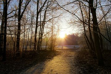 Zonsopkomst / Sunrice von Marco Dek