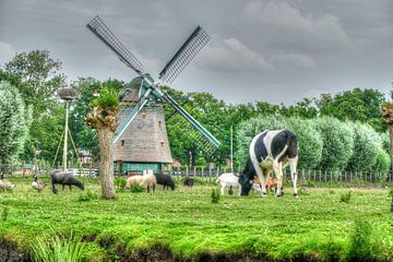 Niederländische Landschaft von Carla van Zomeren