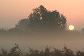 Zonsopkomst in Meinerswijk  by Ronald Wilfred Jansen