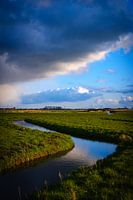Ditch