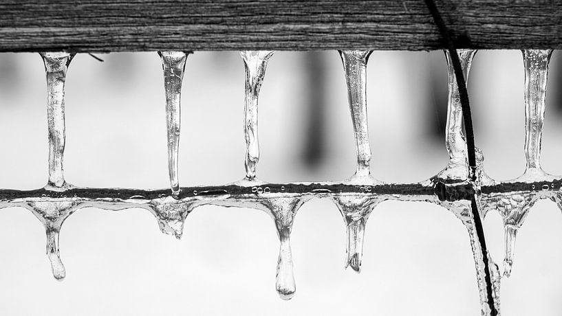 Eiszapfen am Drahtzaun von Flatfield
