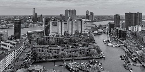 Rotterdam by Day - Leuvehaven and Wilhelminapier by Tux Photography