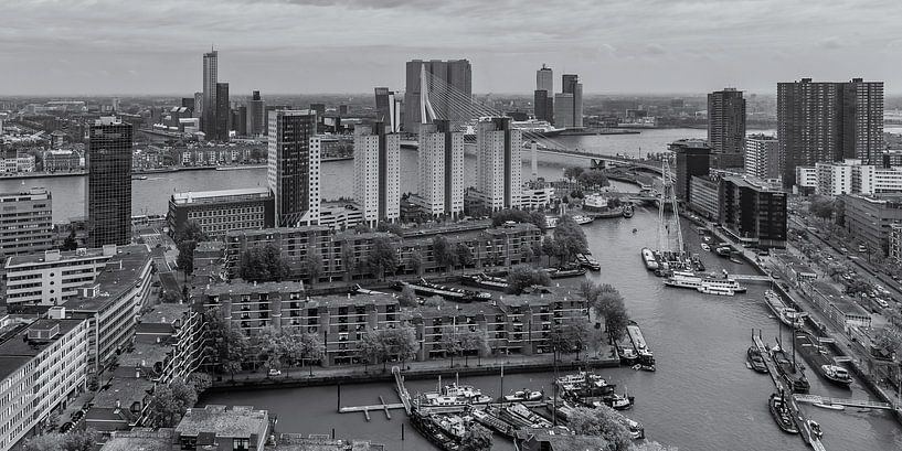 Ansichten von Leuvehaven und Wilhelminapier in Rotterdam von Tux Photography