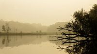 The mystical call of the lake