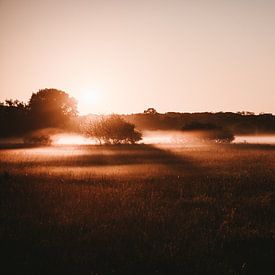 Tôt le matin à Huis ter Heide sur Jessica Arends