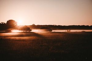 Früher Morgen in Huis ter Heide von Jessica Arends