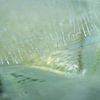 Blasen und Licht auf dem Eis, in Grün- und Gelbtönen von Wendy van Kuler Fotografie
