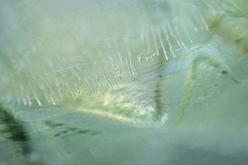 bubbles and light in the ice, in shades of green and yellow