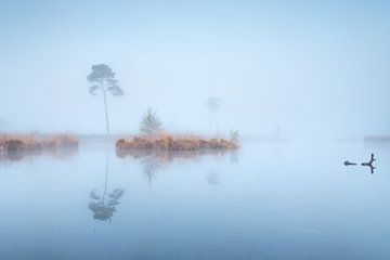 Misty Hatertse vennen by Iris Waanders