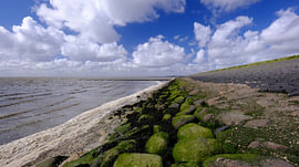 IJsselmeer coast by Sabrina de Vries