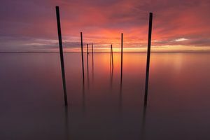 Oude steiger Markermeer van Kimberley Jekel