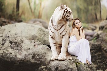 White Tiger with pretty woman