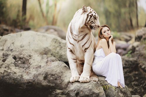 White Tiger with pretty woman