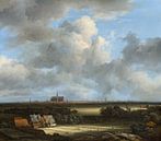 Ansicht von Haarlem mit Bleichen im Vordergrund, Jacob van Ruisdael von Meesterlijcke Meesters Miniaturansicht