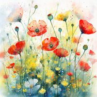 Mohn am Wegesrand 1