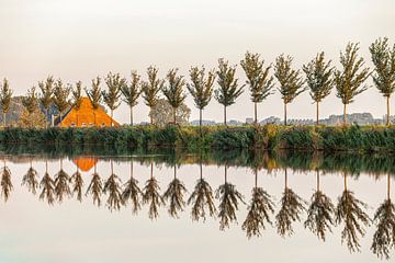 Trees along ring canal of polder by Frans Lemmens