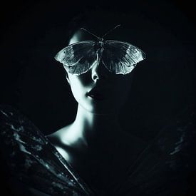 Vélum sur Transmutation Art