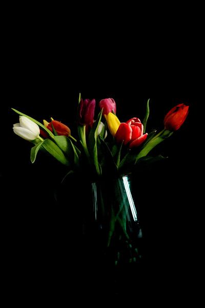 Tulips at night by Hannahs Wereld
