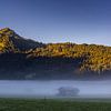 Sonnenaufgang im Herbst von Walter G. Allgöwer