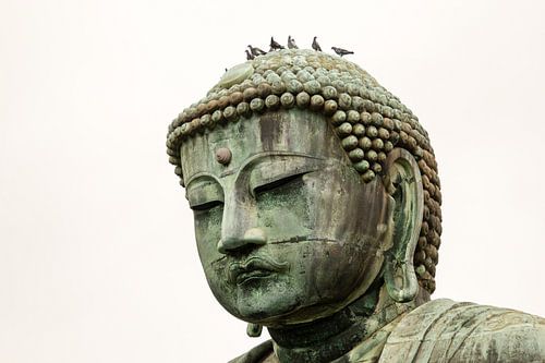 Buddha statue in Kamakura, Japan