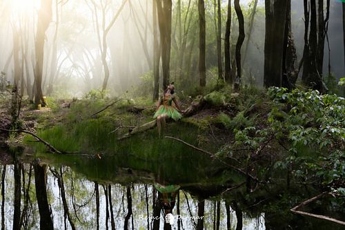 Flora the forest fairy by the water