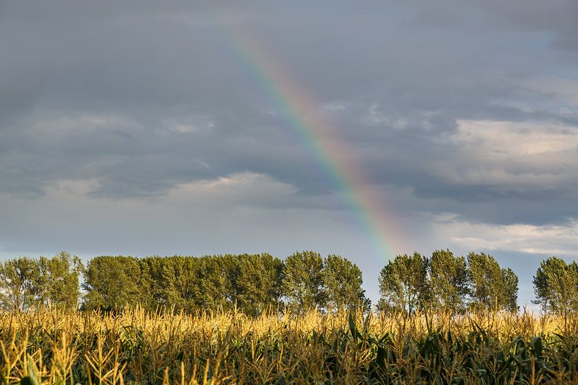 Rainbow by Rolf Pötsch