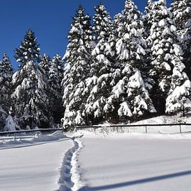 Footprints in the snow by Claude Laprise