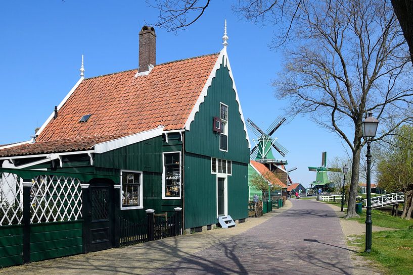 Wandelen naar de windmolens van Frank's Awesome Travels
