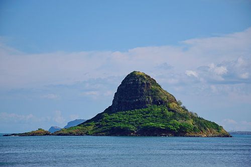 Chinaman's hoed (Mokoli'i)