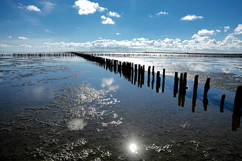 Wattenmeer Unesco Weltkulturerbe