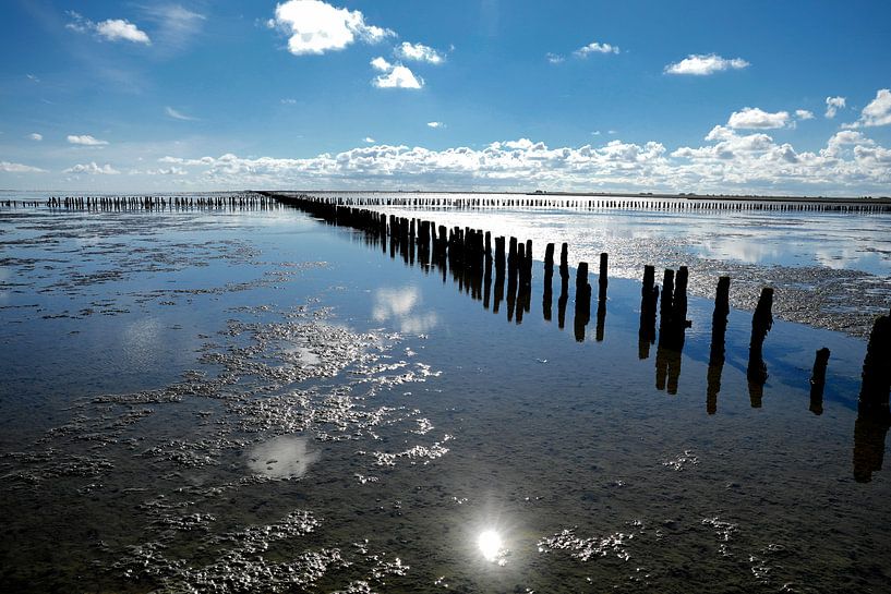 Wadden Sea Unesco World Heritage by Jan Sportel Photography