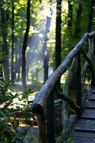 Wand decoratie bruggetje met bomen en zon