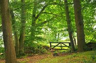 Bos met houten boeren hek van Corinne Welp thumbnail