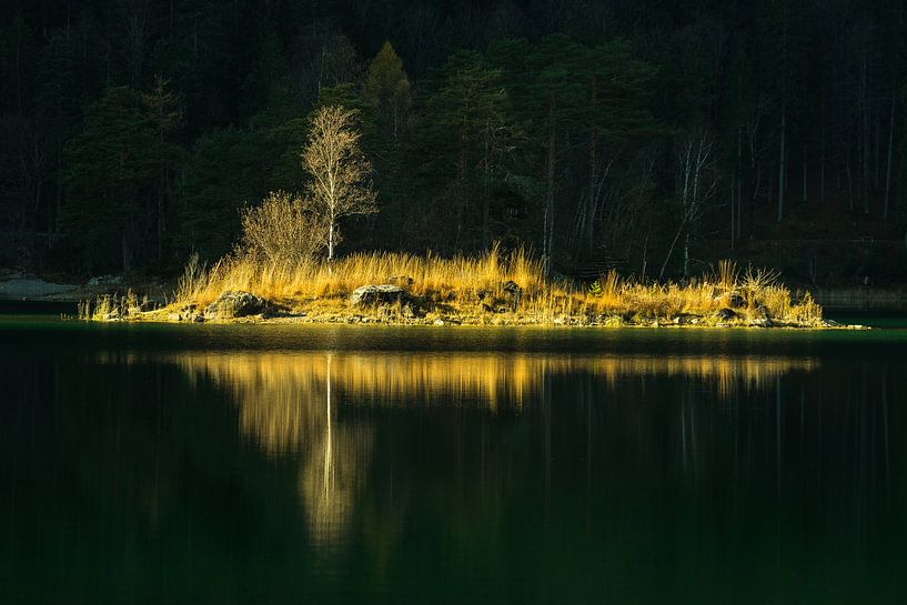 Ein neuer Tag erwacht... van Monika Scheurer