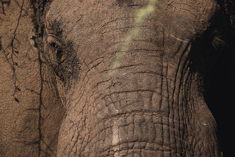 Sunset over the plains - The shadow of a giant by Rick Massar