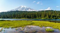 Stratovolcano Mount Rainier. by Jaap van den Berg thumbnail
