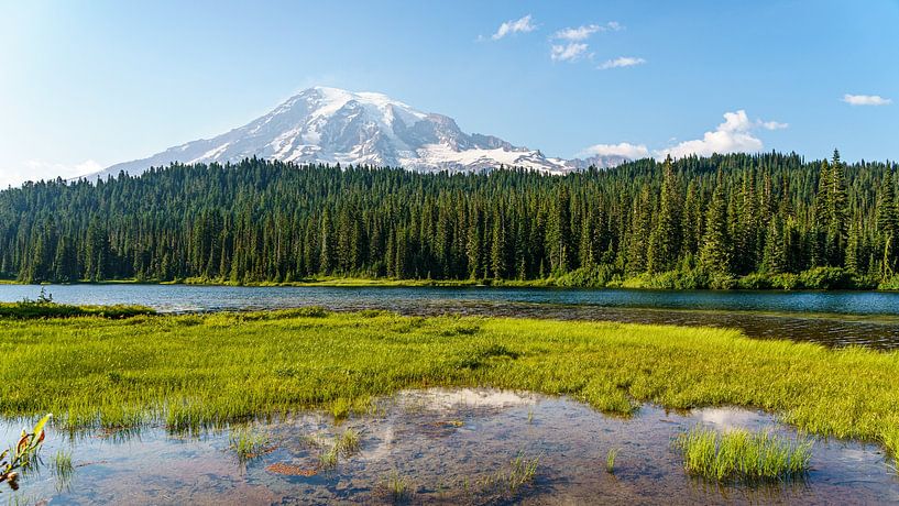 Stratovolcano Mount Rainier. by Jaap van den Berg